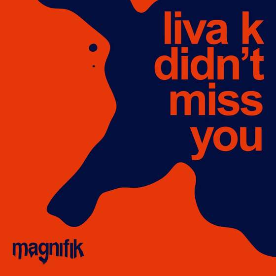 Liva K - Didn't Miss You cover art