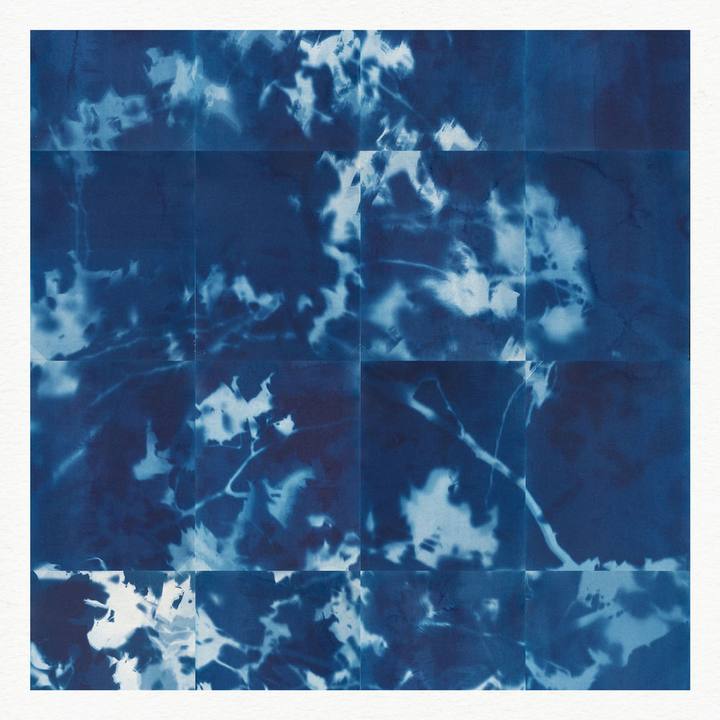marley carroll - Chroma Falls cover art
